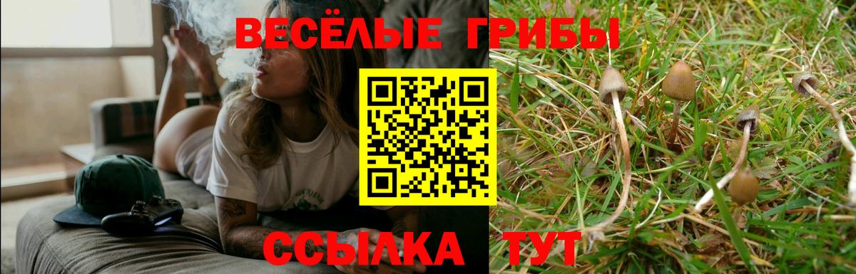 Галлюциногенные грибы прущие грибы Люберцы