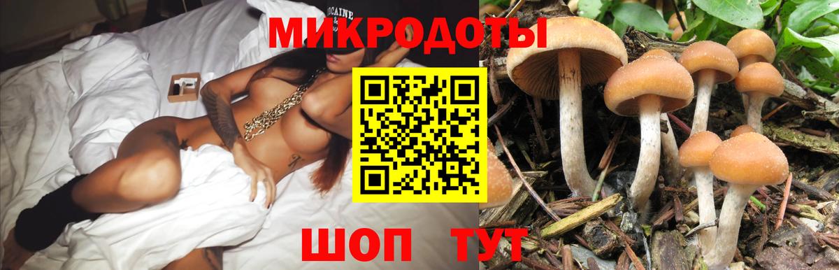 купить закладку  Вход с VPN  Люберцы  Псилоцибиновые грибы GOLDEN TEACHER  Галлюциногенные грибы Psilocybe 